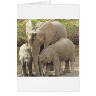 Unité familiale.jpg