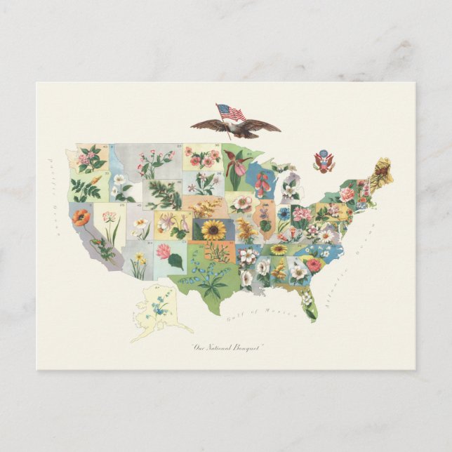 United Staaten Blumen Map - Our National Bouquet Postkarte (Vorderseite)