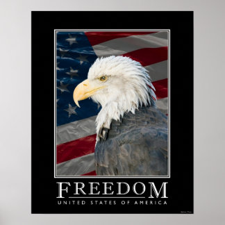 United Staaten Freedom Poster