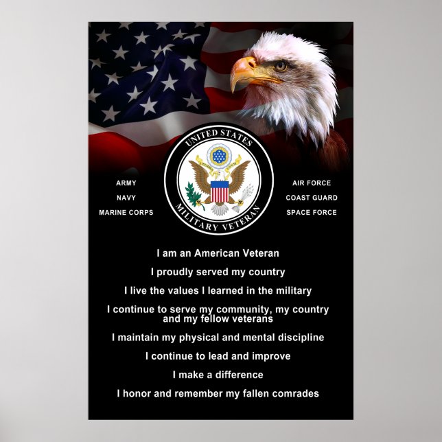 United Staaten Military VETERAN Creative Poster (Vorne)