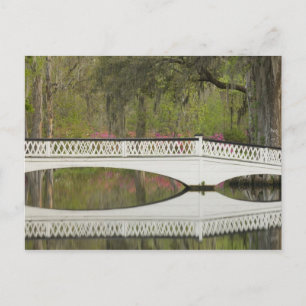 United Staaten; South Carolina; Charleston; 3 Postkarte