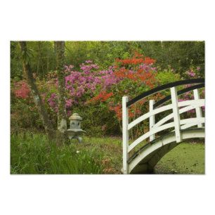 United Staaten; South Carolina; Charleston; 5 Fotodruck