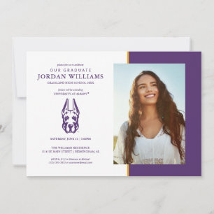 Universität Albany Great Dane Mascot Head Ankündigung