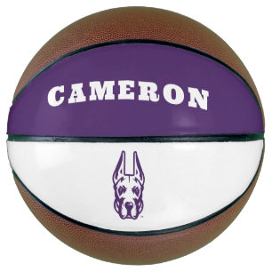 Universität Albany Great Dane Mascot Head Basketball