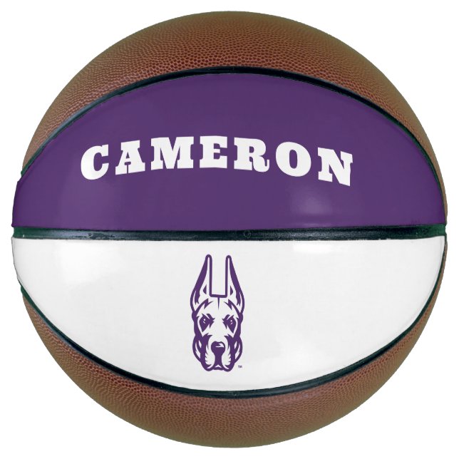 Universität Albany Great Dane Mascot Head Basketball (Vorderseite)