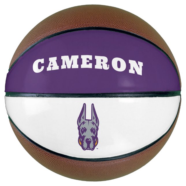 Universität Albany Great Dane Mascot Head Basketball (Vorderseite)
