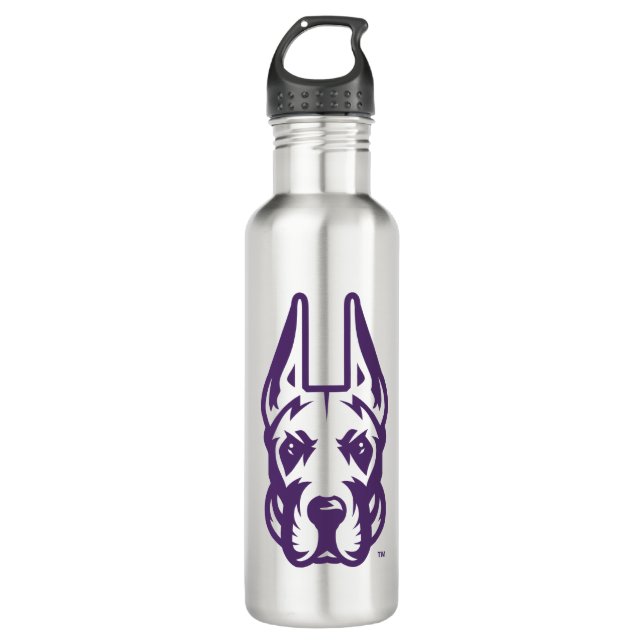 Universität Albany Great Dane Mascot Head Edelstahlflasche (Vorderseite)
