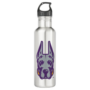 Universität Albany Great Dane Mascot Head Edelstahlflasche