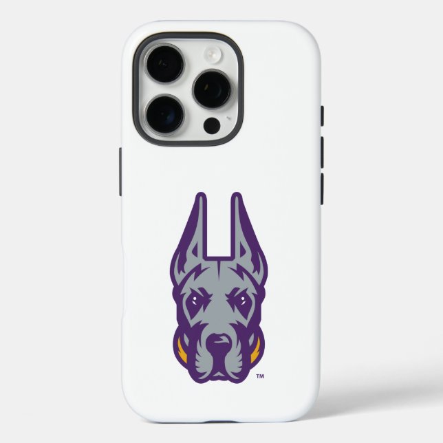 Universität Albany Great Dane Mascot Head iPhone 16 Pro Hülle (Rückseite)