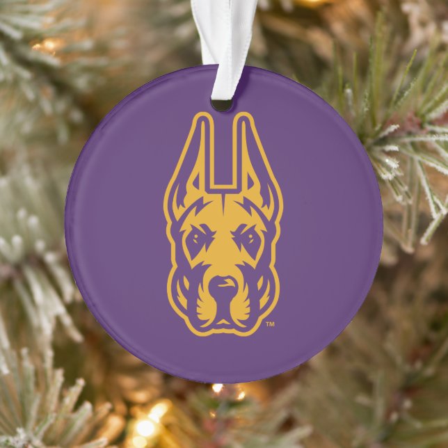 Universität Albany Great Dane Mascot Head Ornament (Baum)