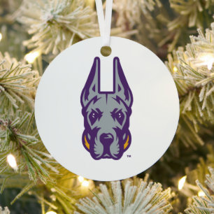Universität Albany Great Dane Mascot Head Ornament Aus Metall