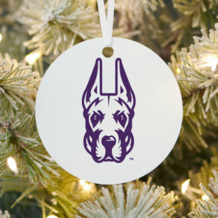 Universität Albany Great Dane Mascot Head Ornament Aus Metall