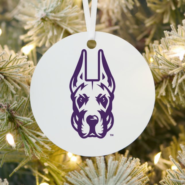 Universität Albany Great Dane Mascot Head Ornament Aus Metall (InSitu)