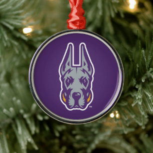 Universität Albany Great Dane Mascot Head Ornament Aus Metall