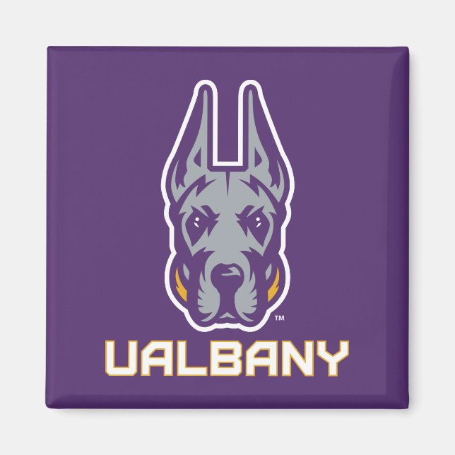 Universität Albany Great Danes Magnet (Vorne)