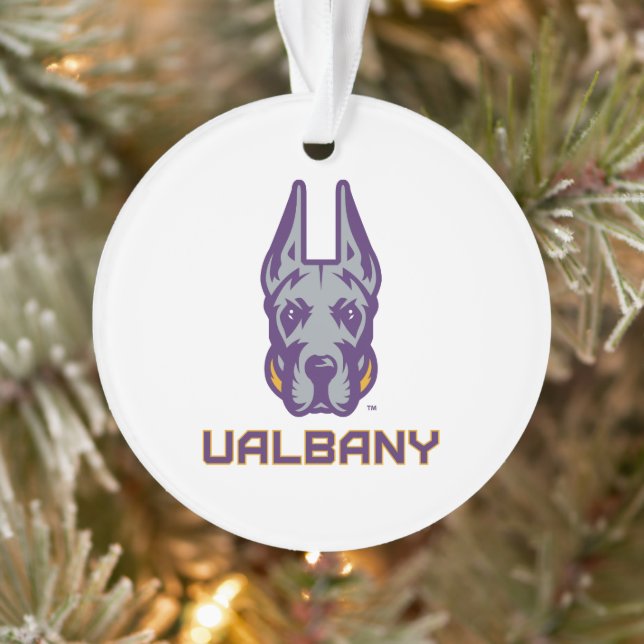 Universität Albany Great Danes Ornament (Baum)