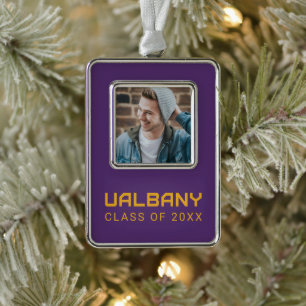 Universität Albany Wordmark Rahmen-Ornament Silber