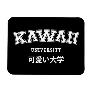 UNIVERSITÄT KAWAII MAGNET