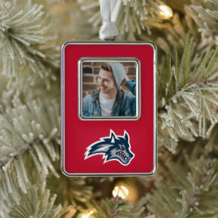 Universität Stony Brook Seawolfen Rahmen-Ornament Silber