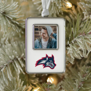 Universität Stony Brook Seawolfen Rahmen-Ornament Silber