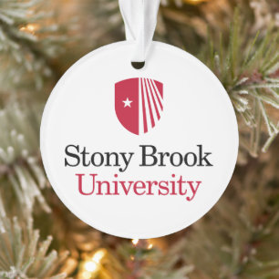 Universität Stony Brook Wortmarke Ornament