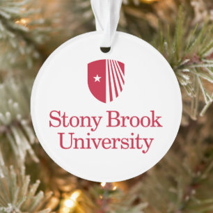 Universität Stony Brook Wortmarke Ornament