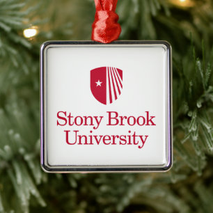 Universität Stony Brook Wortmarke Ornament Aus Metall