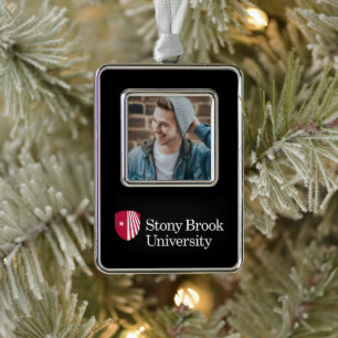 Universität Stony Brook Wortmarke Rahmen-Ornament Silber