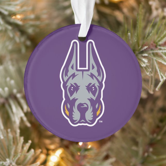 Université d'Albany Chef de la mascotte Great Dane (Arbre)
