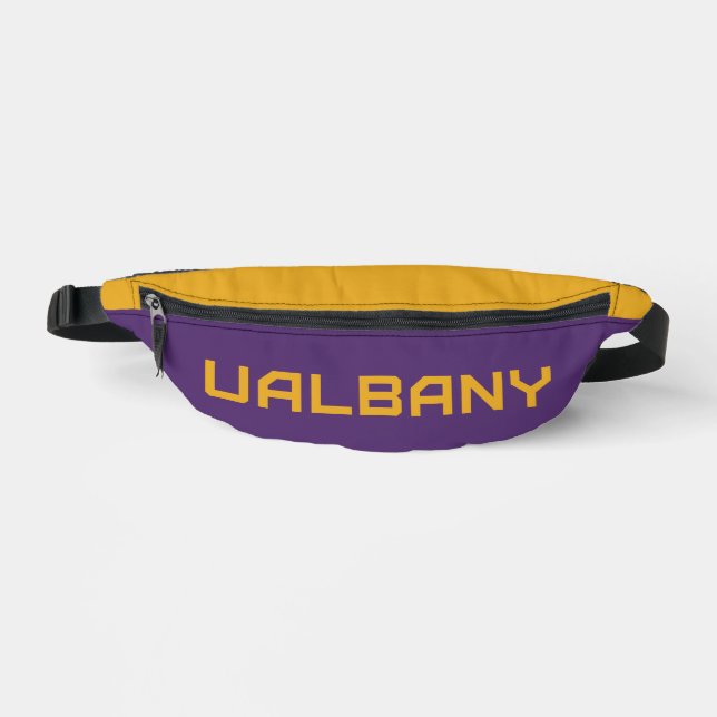 Université de Albany Wordmark (Recto)