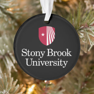 Université Stony Brook   Mot-symbole