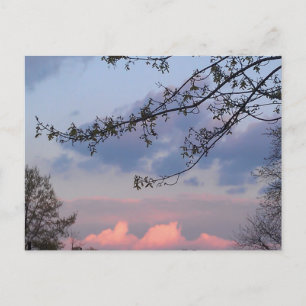 University City Goodwill Postkarte