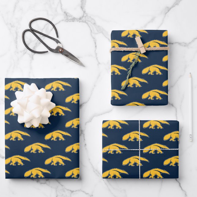 University of California, Irvine Anteater Geschenkpapier Set (Vorderseite)