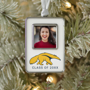 University of California, Irvine Anteater Rahmen-Ornament Silber