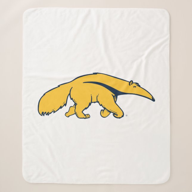 University of California, Irvine Anteater Sherpadecke (Vorderseite)