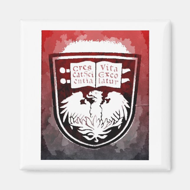 University of Chicago Siegel Magnet (Vorne)