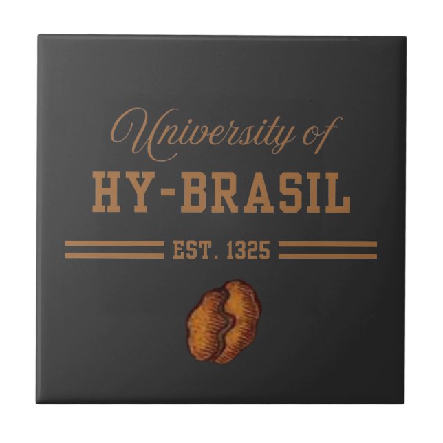 University of Hy-Brasil, Est. 1325 Fliese (Vorderseite)