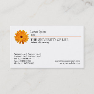 University of Life - Marigold, Orange Rule Visitenkarte