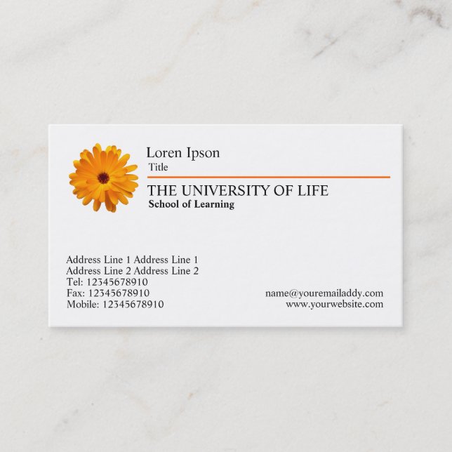 University of Life - Marigold, Orange Rule Visitenkarte (Vorderseite)