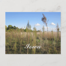 Unkraut, Bäume und Sky Iowa Postkarte