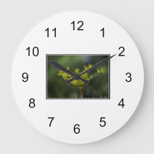 Unkraut-Genuss Große Wanduhr