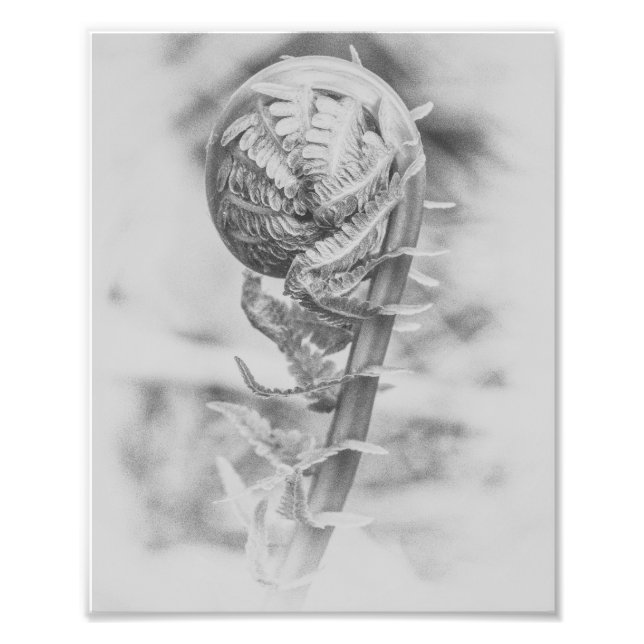 Unkurbeltes Holz Fern Schwarz und Weiß Print 2 Fotodruck (Vorne)