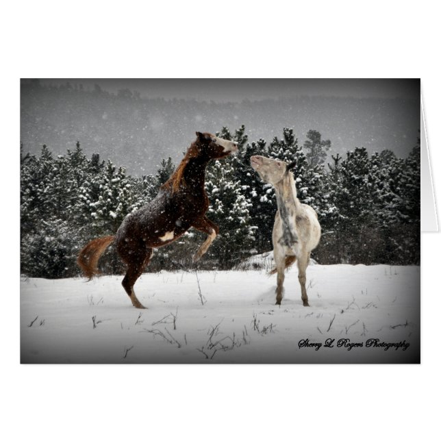 unleashed~ de ~Buckie (Devant horizontal)