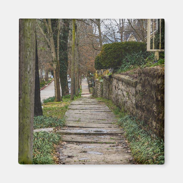 Unlevel Pathway Magnet (Vorne)