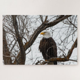 Unmögliches Puzzle - Haliäetus