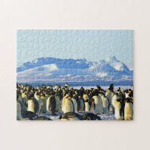 Unmögliches Puzzle - Pinguine Kolonie
