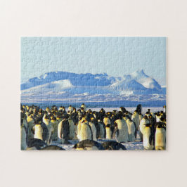 Unmögliches Puzzle - Pinguine Kolonie