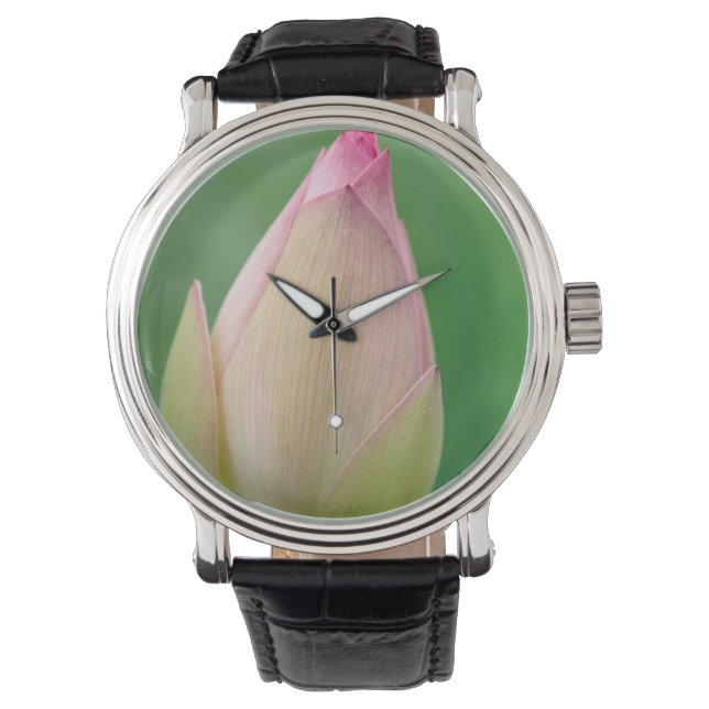 Unopened Water Lily Bulb, Durban Botanical Armbanduhr (Vorderseite)
