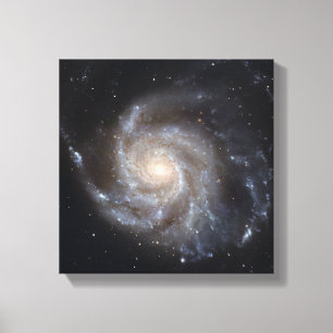 Unordentlichere 101, die Pinwheel-Galaxie Leinwanddruck