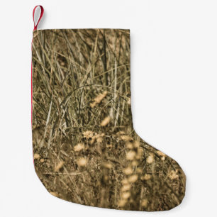 unregelmäßige trockene Pflanze am felsigen überdac Kleiner Weihnachtsstrumpf